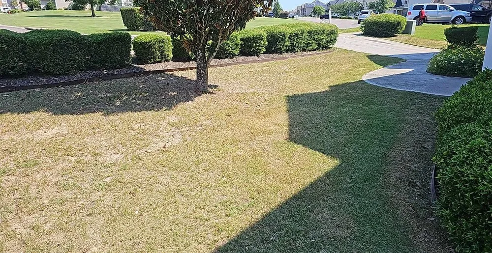 Affordable landscape installation for residential properties in Graniteville, SC by Slug's Lawncare