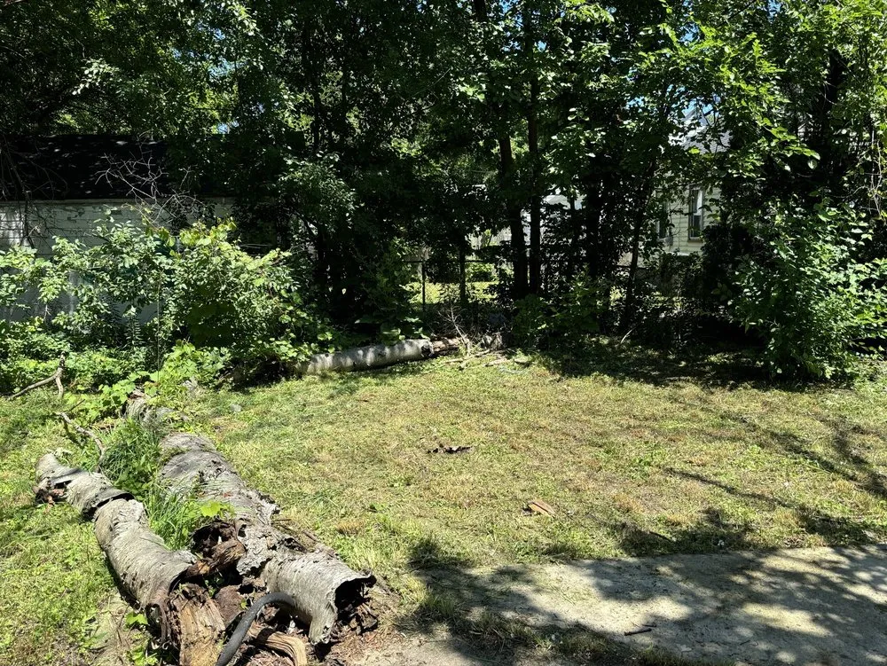 Affordable landscape installation in Detroit, MI - Sly & Lids Property Preservation & Landscapes