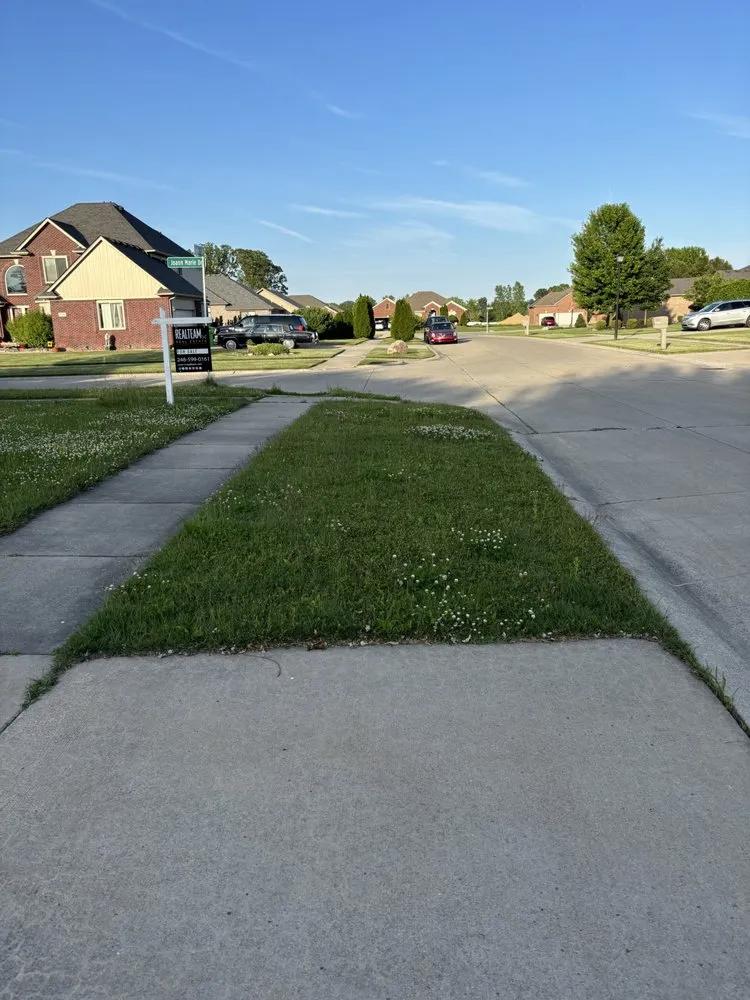 Affordable landscape design experts serving Detroit, MI - Sly & Lids Property Preservation & Landscapes