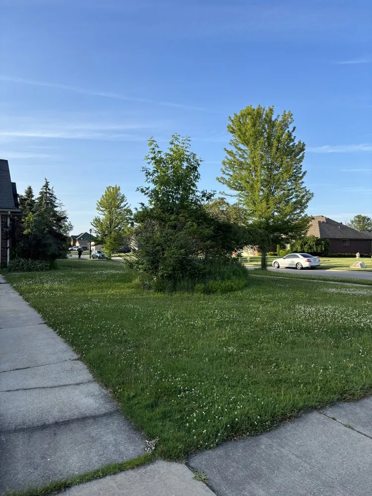 Professional landscape design in Detroit, MI - Sly & Lids Property Preservation & Landscapes