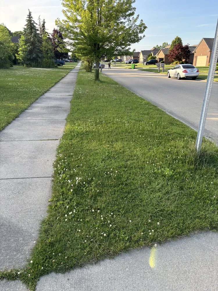 Top-rated lawn mowing service for homes across Detroit, MI - Sly & Lids Property Preservation & Landscapes