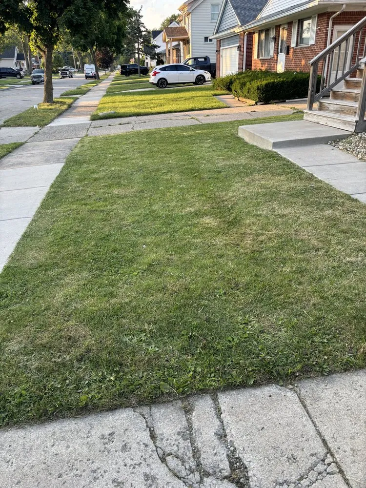 Local garden landscaping for outdoor upgrades in Detroit, MI by Sly & Lids Property Preservation & Landscapes