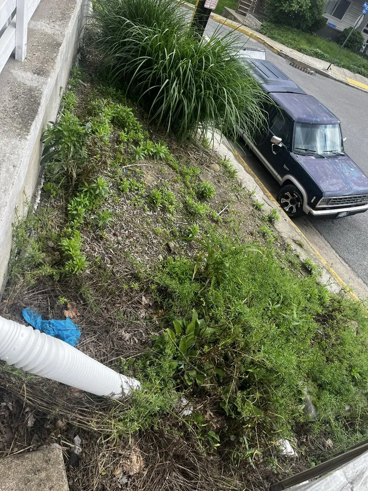 Professional yard cleanup service with custom design across Avalon, PA - S.M Landscapes