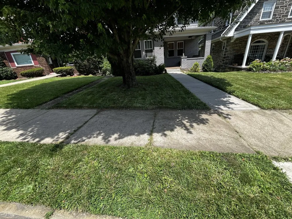 Professional landscaping services experts serving Avalon, PA - S.M Landscapes