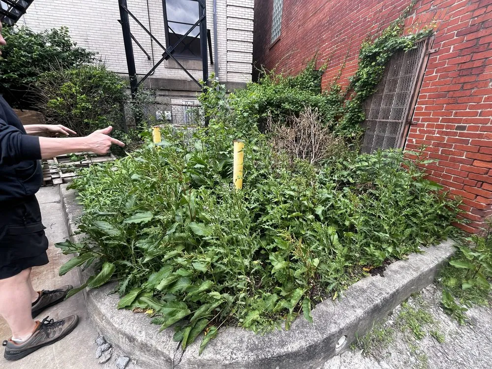 Affordable residential landscaping with custom design in Avalon, PA by S.M Landscapes