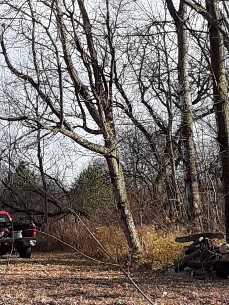 Trusted residential landscaping for year-round maintenance across Oswego, NY - S&M LandScapes