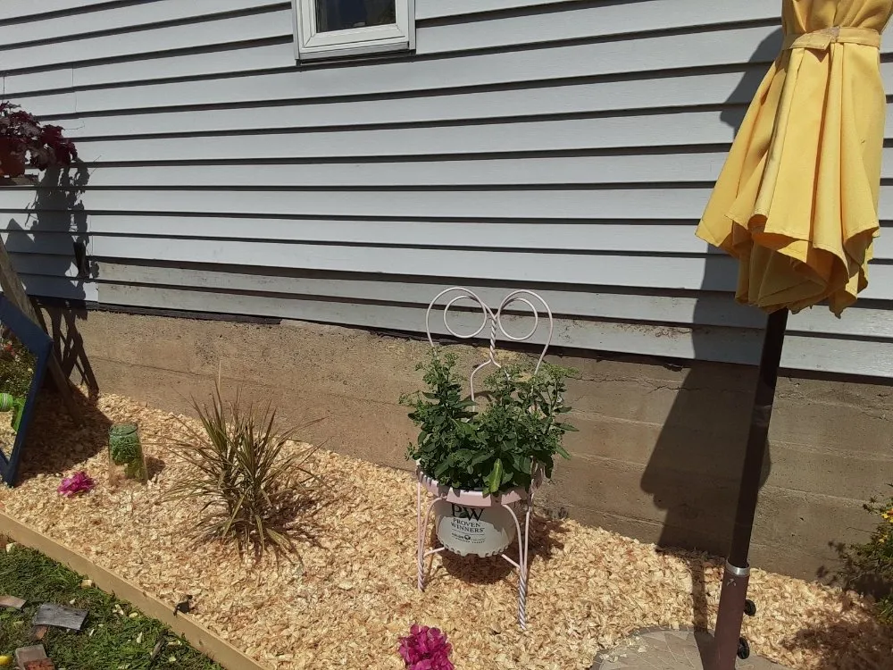 Affordable landscape installation in Oswego, NY by S&M LandScapes