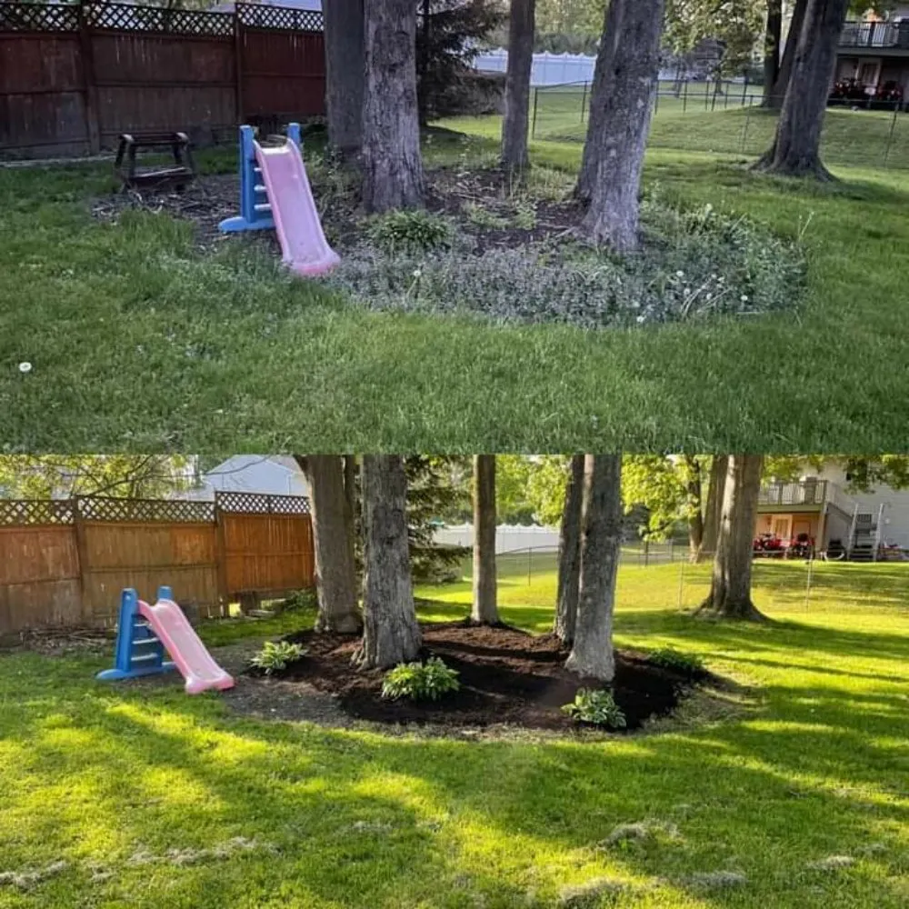 Professional yard cleanup service experts serving Oswego, NY - S&M LandScapes
