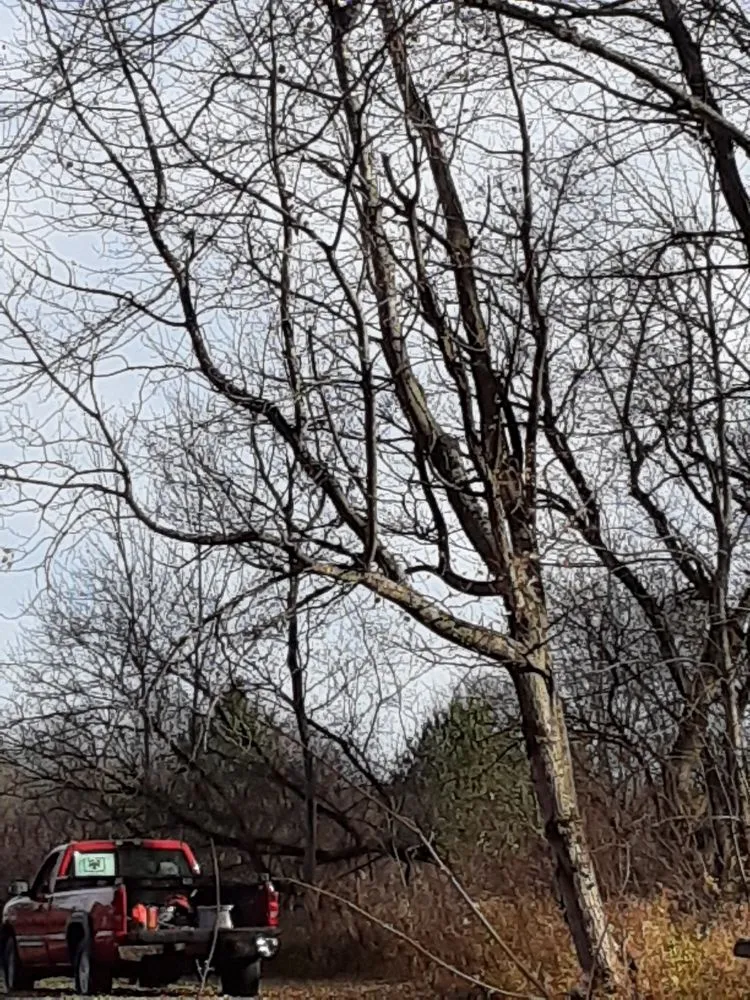 Local residential landscaping for beautiful yards in Oswego, NY by S&M LandScapes