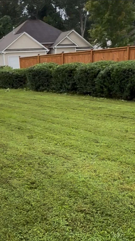 Affordable landscaping services experts serving McDonough, GA - SM Landscaping