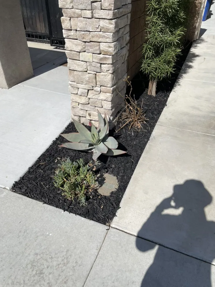Reliable garden landscaping for homes in Ontario, CA by SM Landscaping