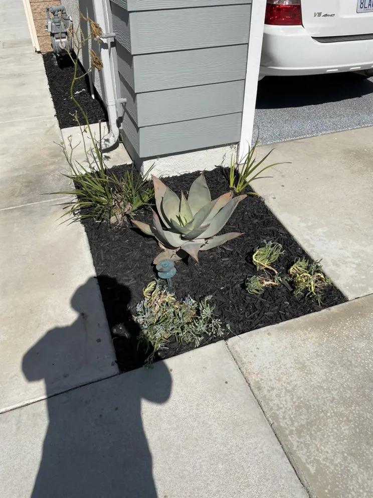 Trusted residential landscaping in Ontario, CA by SM Landscaping