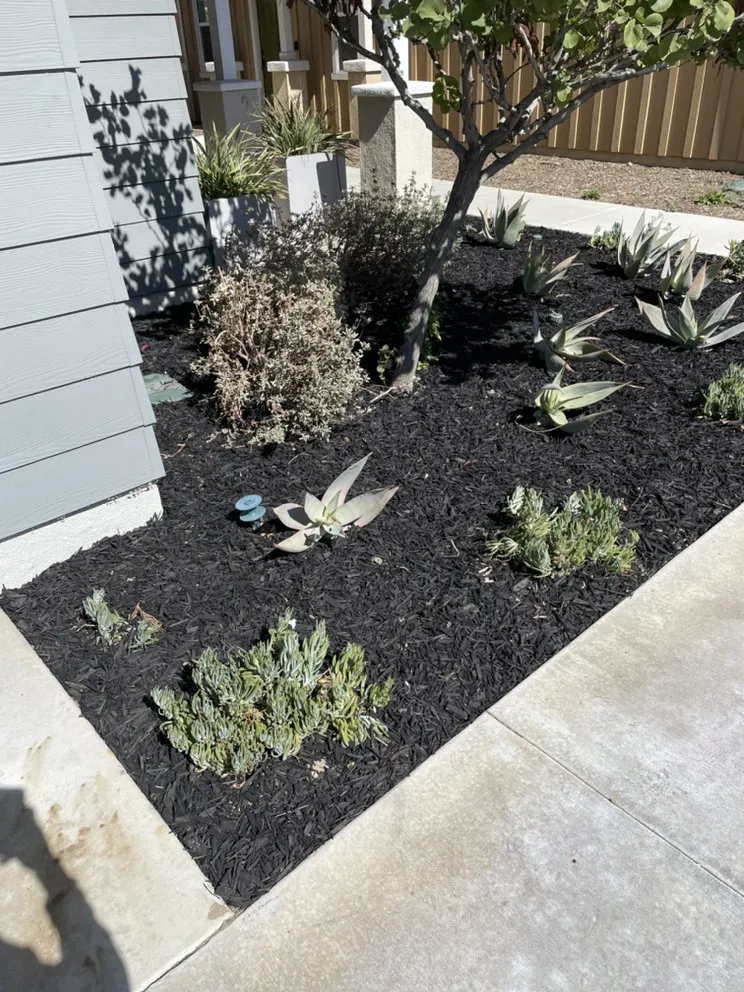 Professional lawn care service in Ontario, CA - SM Landscaping
