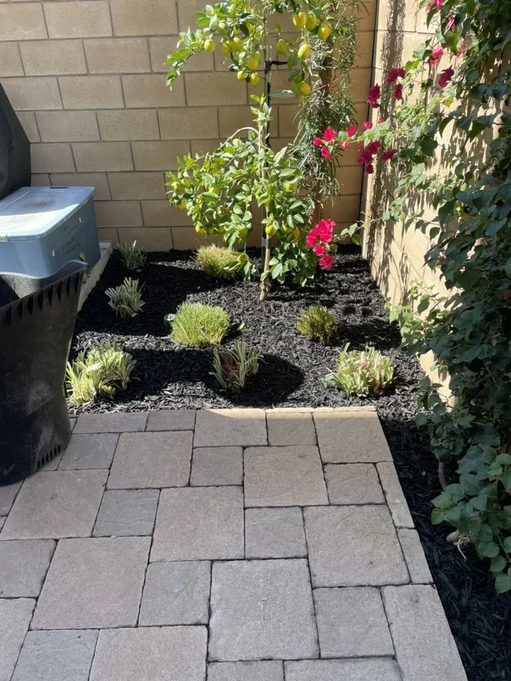 Professional garden landscaping in Ontario, CA - SM Landscaping