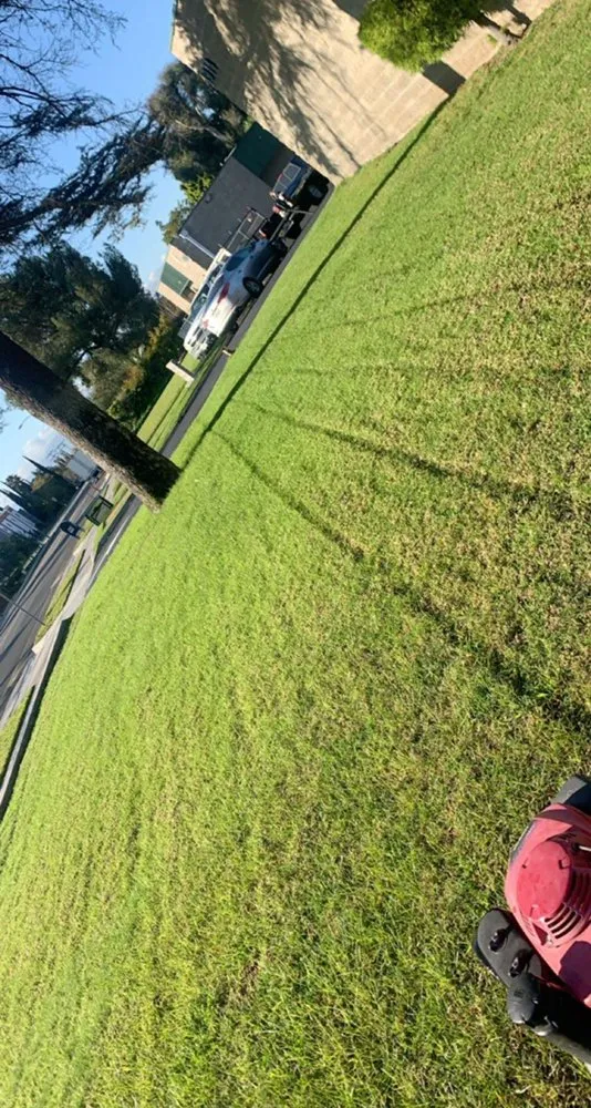 Affordable landscaping services in Ontario, CA by SM Landscaping