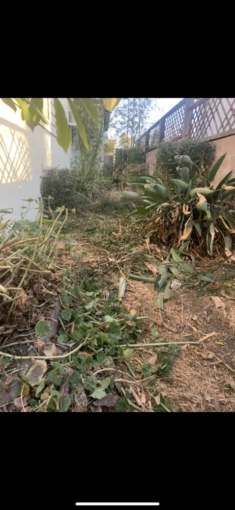 Local landscape installation for homes in Ontario, CA by SM Landscaping