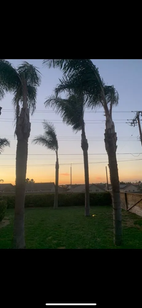 Affordable outdoor landscaping in Ontario, CA by SM Landscaping