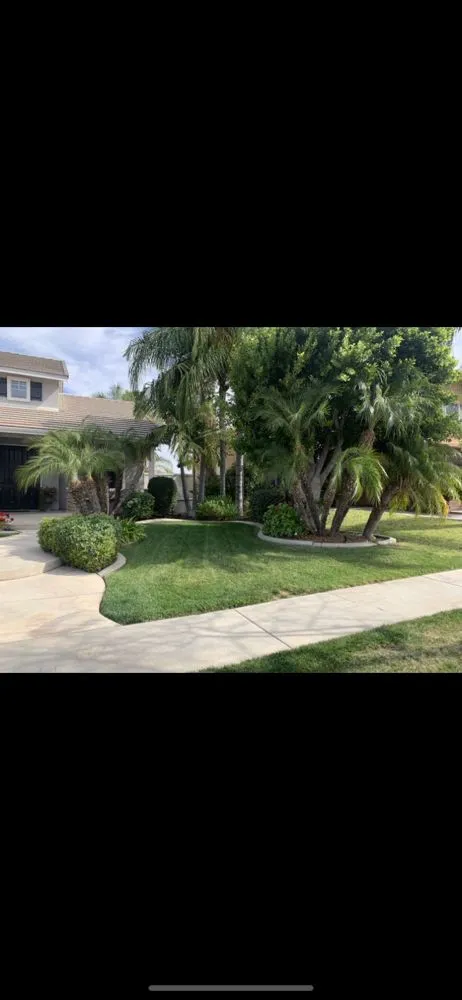 Custom lawn mowing service in Ontario, CA - SM Landscaping