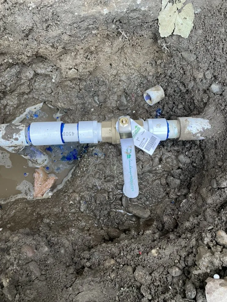 Custom lawn mowing service in Ontario, CA by SM Landscaping