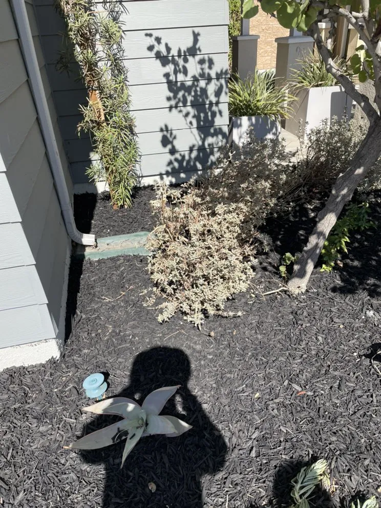 Trusted landscape design for residential properties across Ontario, CA - SM Landscaping