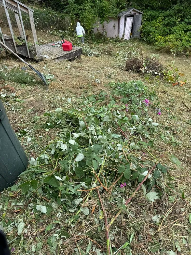 Top-rated residential landscaping for outdoor upgrades in Shelton, WA by SM Landscaping