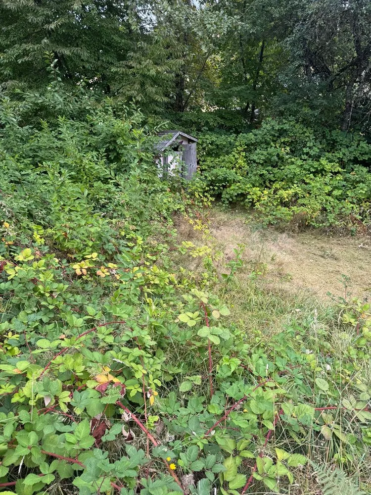 Reliable residential landscaping experts serving Shelton, WA - SM Landscaping