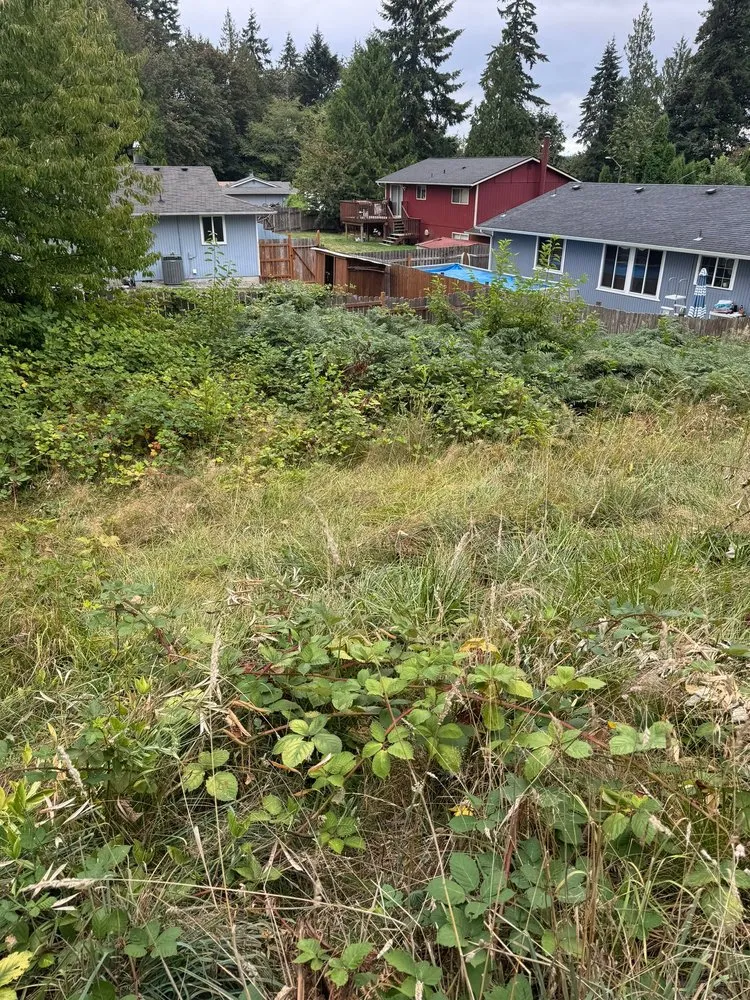 Top-rated yard cleanup service for homes across Shelton, WA - SM Landscaping