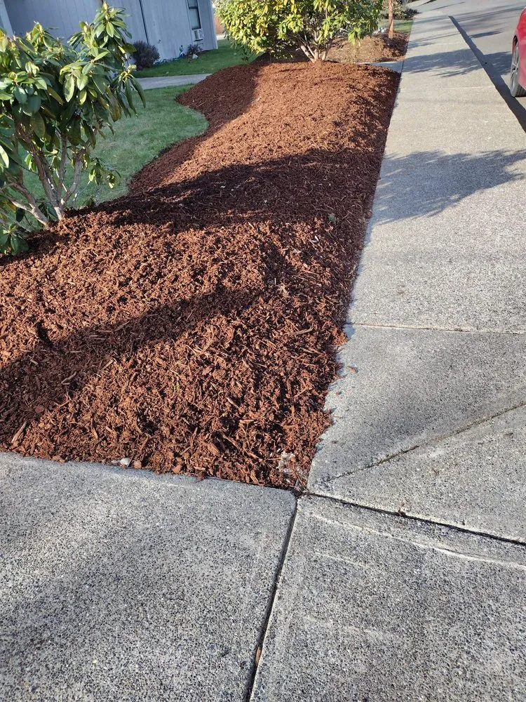 Professional yard cleanup service experts serving Shelton, WA - SM Landscaping