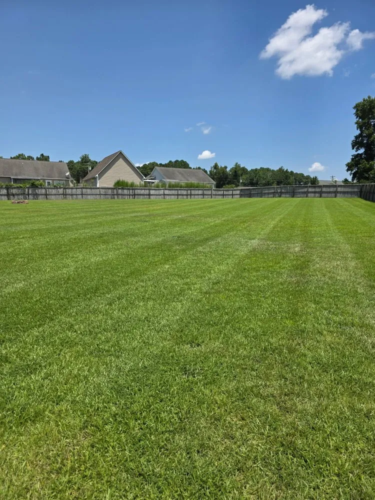 Affordable landscape installation for residential properties across Richlands, NC - S&M Lawn Care & More