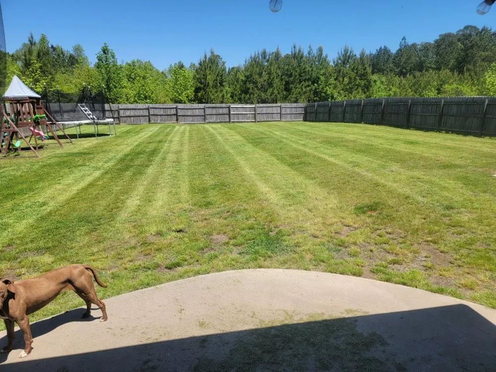 Professional residential landscaping experts serving Richlands, NC - S&M Lawn Care & More