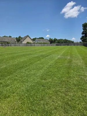 S&M Lawn Care & More