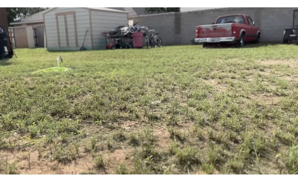 Trusted lawn care service in Odessa, TX - SM Lawn Care
