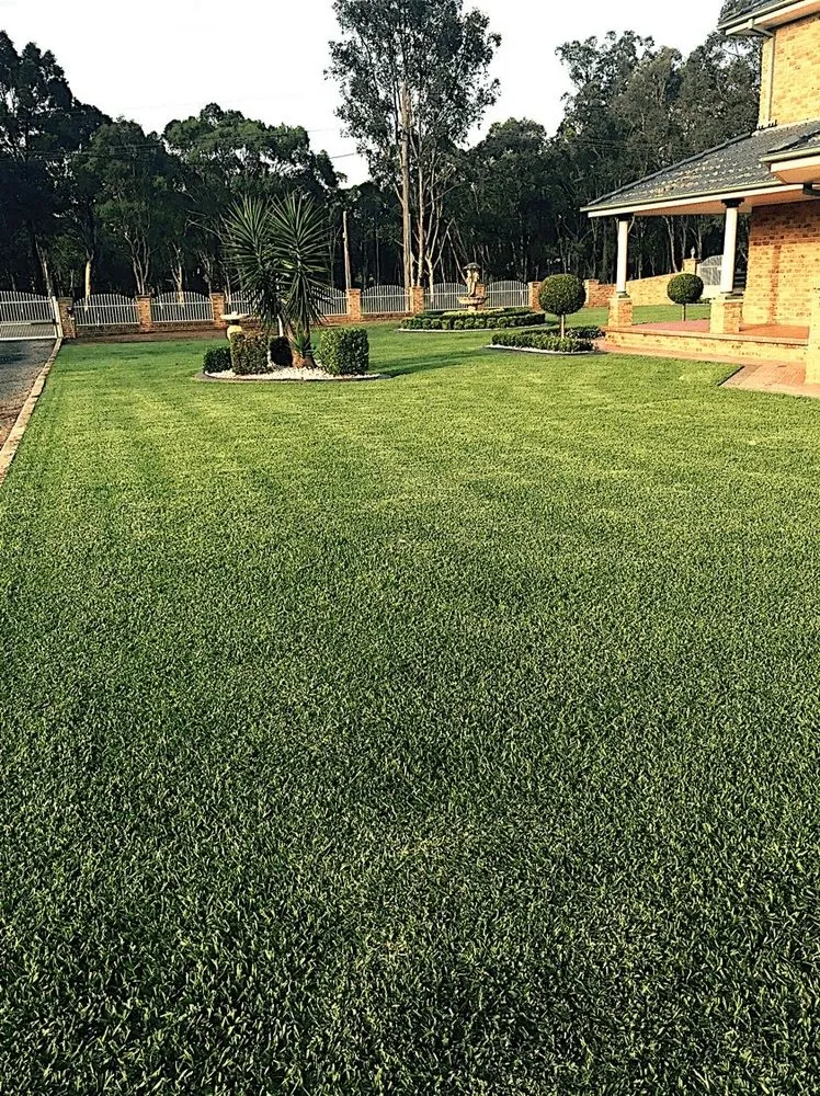 Affordable landscape design with custom design across Wendell, NC - SM Lawn Care