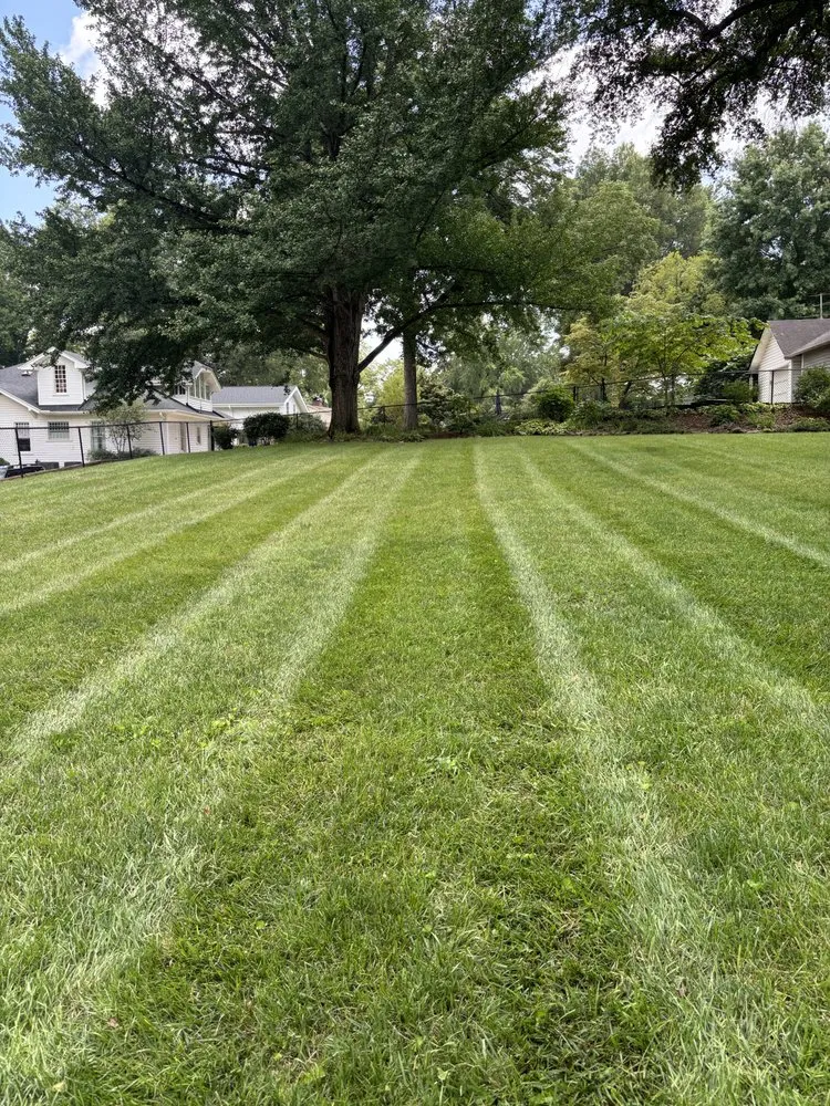 Trusted yard cleanup service for residential properties in Morganton, NC by SM Lawncare