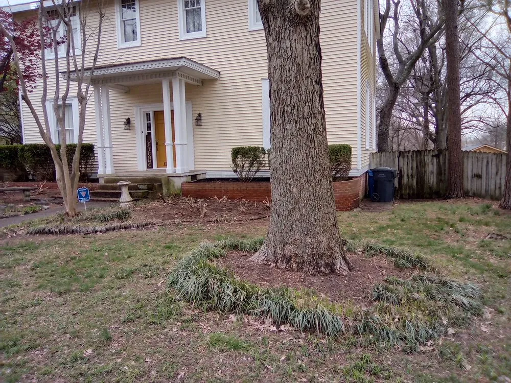 Expert yard cleanup service in Jonesboro, AR - S&M LawnPro