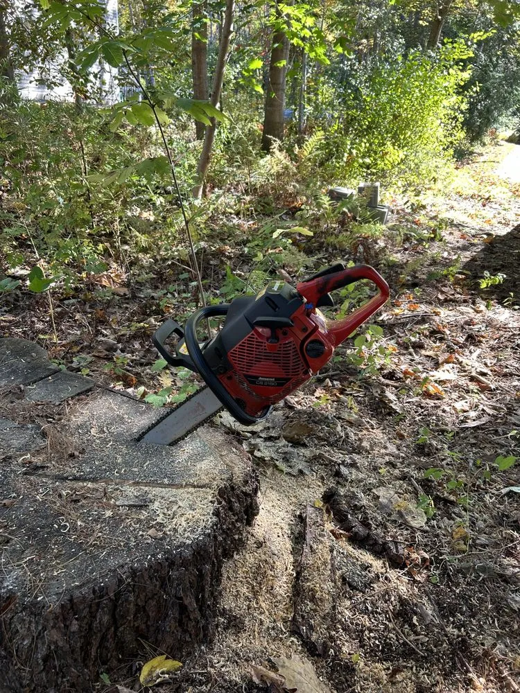 Reliable yard cleanup service in Gorham, ME by S&m Mowing