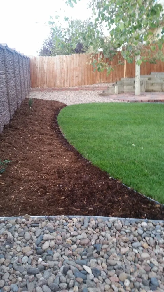 Professional yard cleanup service in Peyton, CO - SM Outdoor Solutions