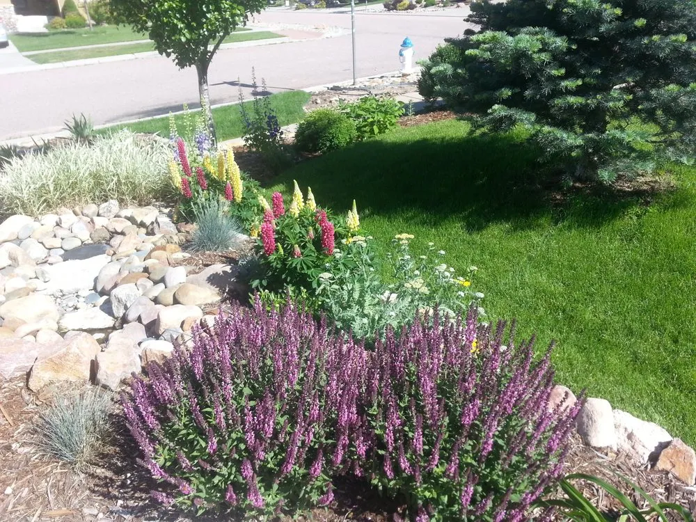 Affordable yard cleanup service for residential properties across Peyton, CO - SM Outdoor Solutions