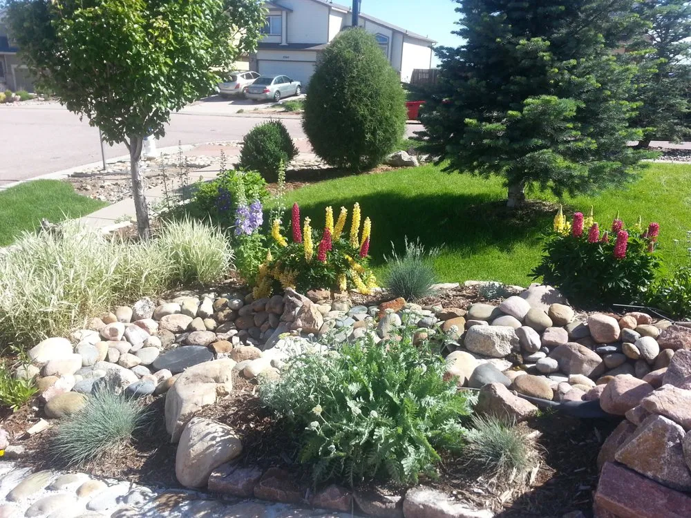 Professional yard cleanup service experts serving Peyton, CO - SM Outdoor Solutions