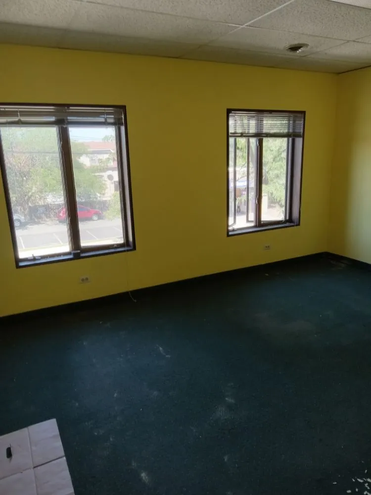 Custom lawn care service for beautiful yards in Chicago, IL by S&M residential services