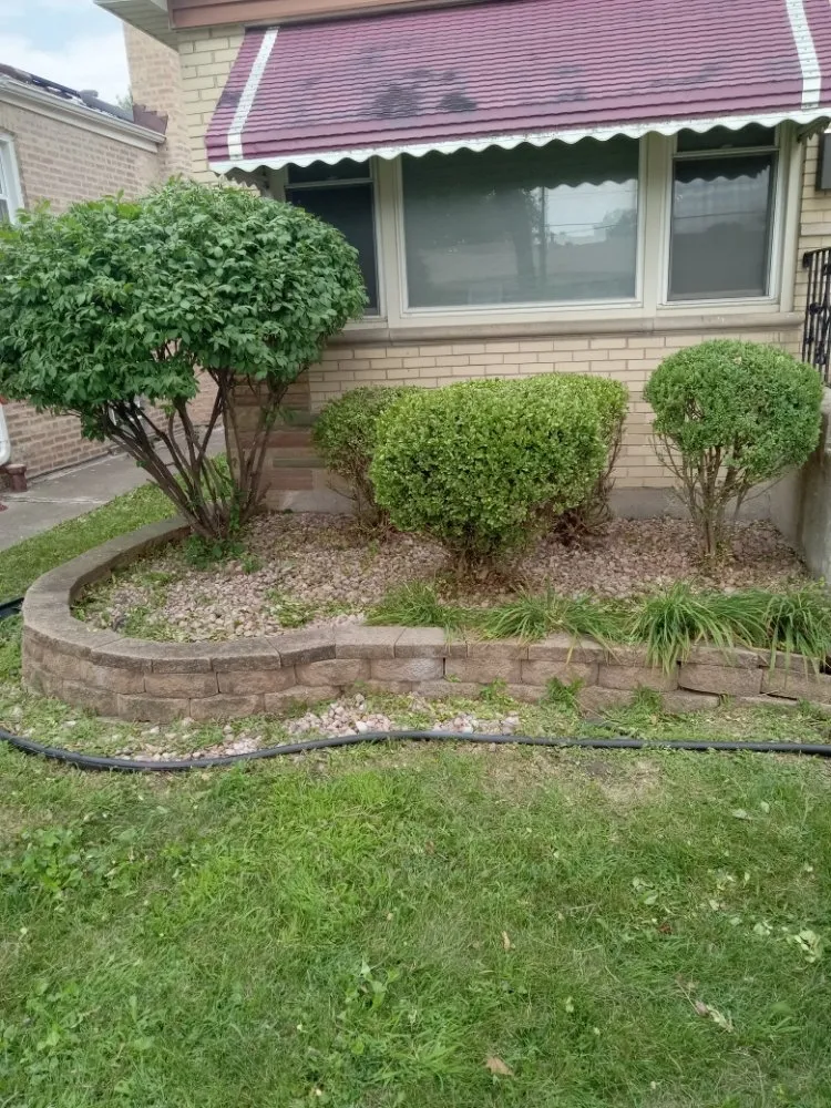 Expert lawn care service in Chicago, IL by S&M residential services