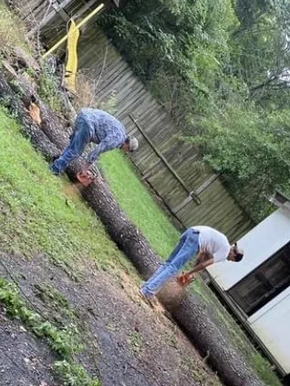 Expert garden landscaping experts serving Gladewater, TX - SM Tree Service