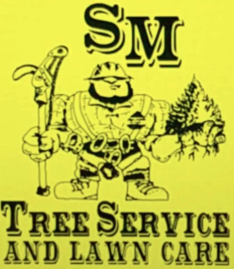Affordable landscaping services in Gladewater, TX by SM Tree Service