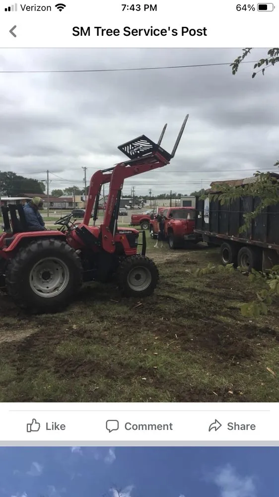 Professional lawn care service experts serving Gladewater, TX - SM Tree Service