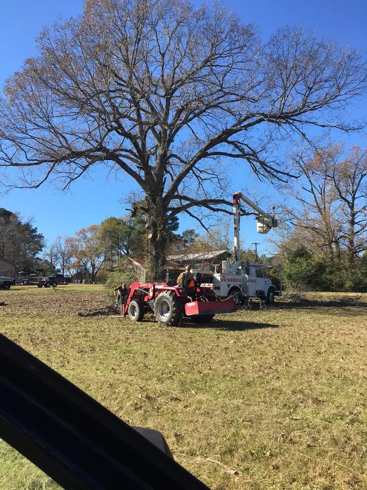 Reliable lawn mowing service for residential properties in Gladewater, TX by SM Tree Service