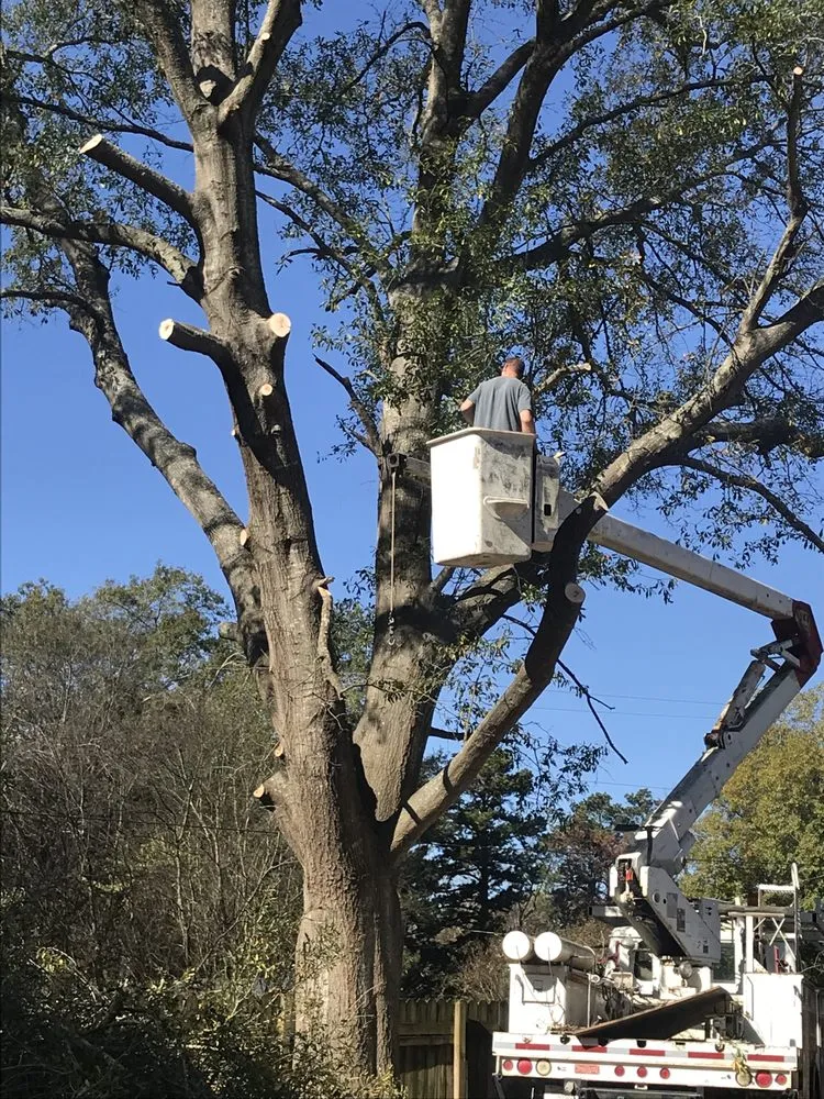 Reliable yard cleanup service experts serving Gladewater, TX - SM Tree Service