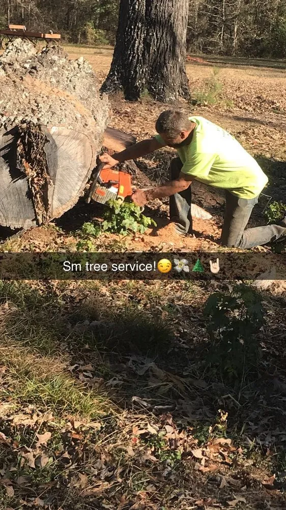 Reliable landscaping services for outdoor upgrades across Gladewater, TX - SM Tree Service