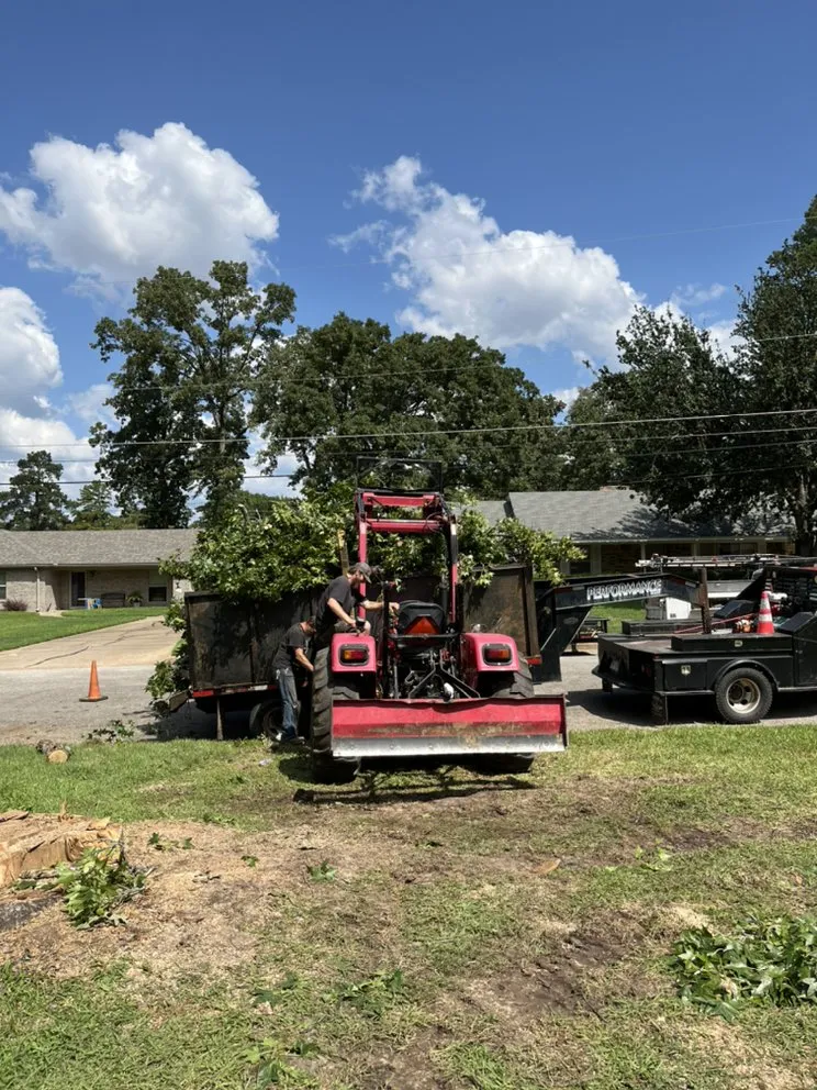 Professional residential landscaping in Gladewater, TX - SM Tree Service