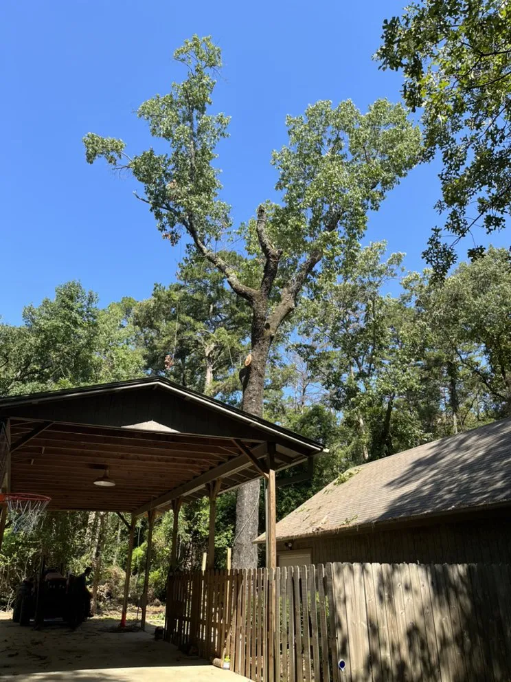 Top-rated lawn mowing service for year-round maintenance across Gladewater, TX - SM Tree Service