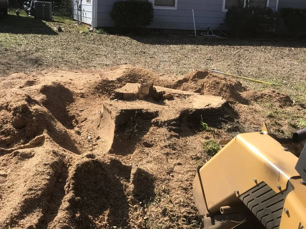 Reliable residential landscaping in Gladewater, TX by SM Tree Service